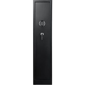 Fortress 4-Gun Non-Fire Safe
